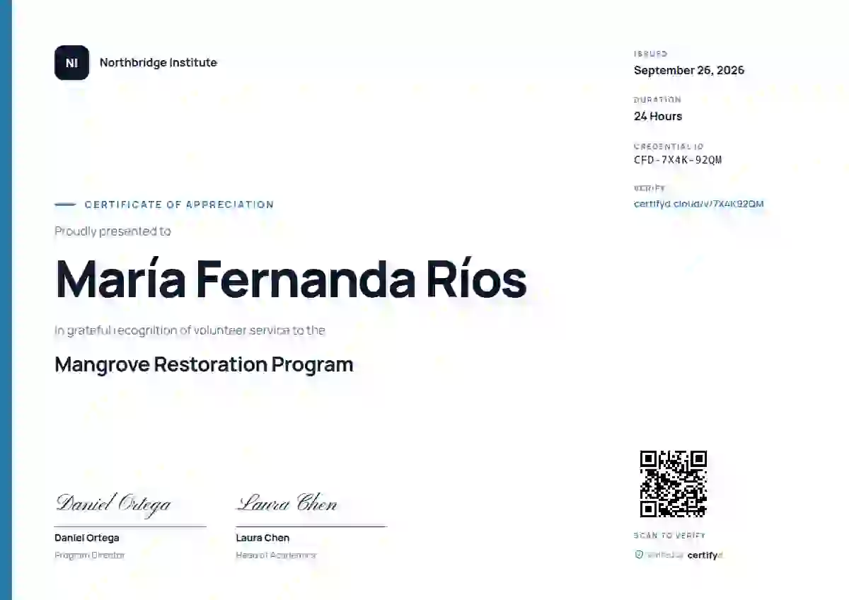 Modern Minimal Sky volunteer appreciation certificate template