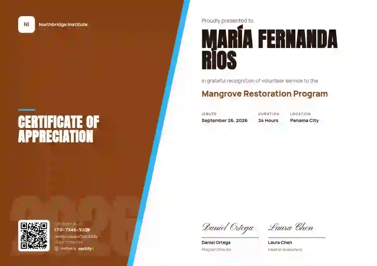 Split Panel Copper volunteer appreciation certificate template