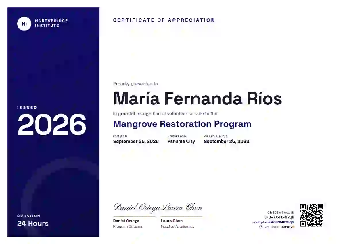 Plantilla de certificado Level Ladder Ultramarine de reconocimiento a voluntarios