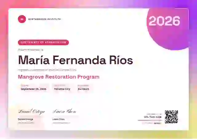 Aurora Gradient Ruby Sharp Card volunteer appreciation certificate template