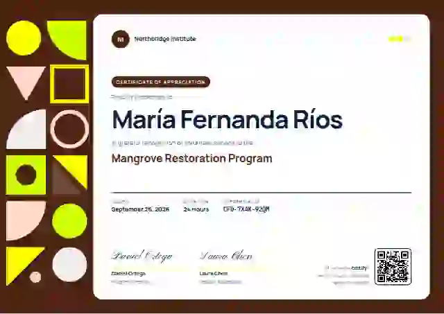 Geometric Lime Manrope volunteer appreciation certificate template