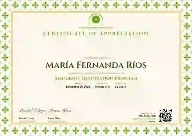 Talavera Frame Lime Bold Rule volunteer appreciation certificate template