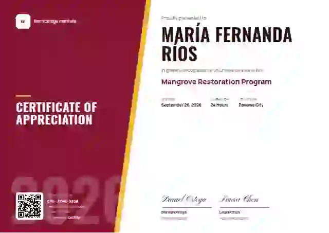 Split Panel Burgundy Bold Ghost volunteer appreciation certificate template