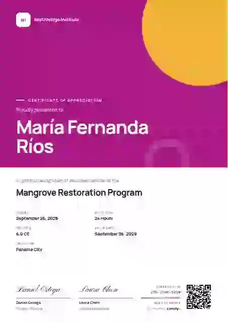 Portrait Modern Magenta Tall Block volunteer appreciation certificate template