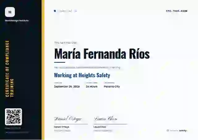 Vertical Sidebar Slate Bold Stripe compliance and safety certificate template