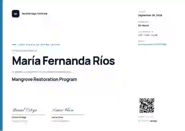 Plantilla de certificado Modern Minimal Sky de reconocimiento a voluntarios