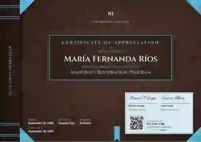 Bound Volume Cerulean volunteer appreciation certificate template