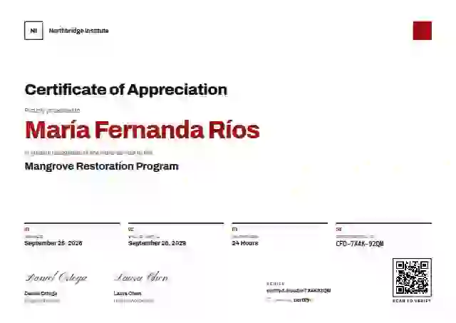 Plantilla de certificado Swiss Grid Red de reconocimiento a voluntarios