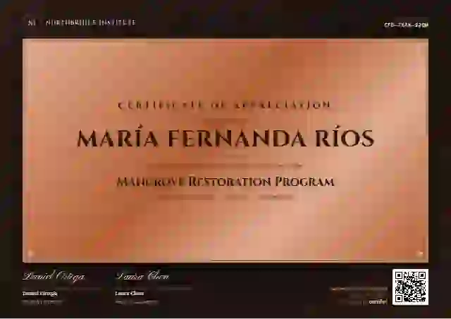 Award Plaque Copper volunteer appreciation certificate template