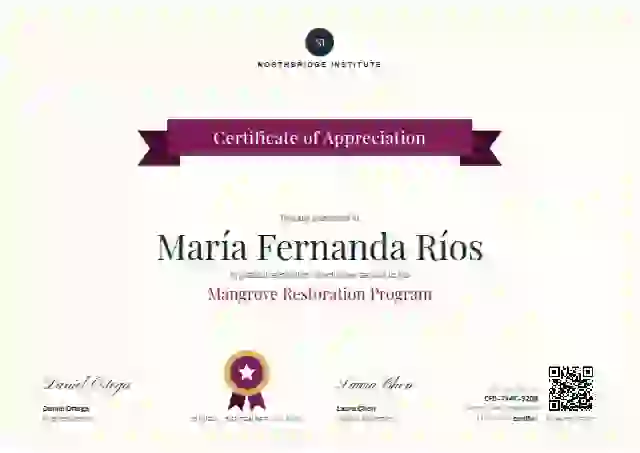 Ribbon Banner Magenta volunteer appreciation certificate template