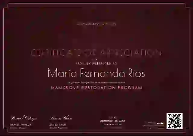 Art Deco Soft Ruby volunteer appreciation certificate template