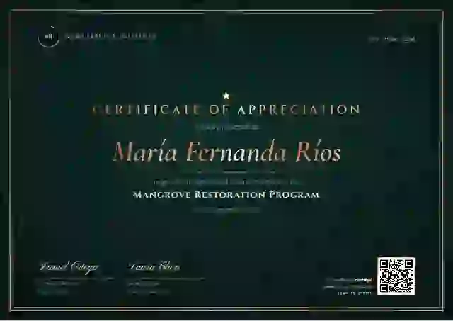 Luxury Foil Seafoam volunteer appreciation certificate template